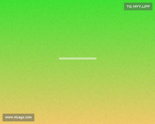 男篮赛事风云录全球锦标赛联赛激情对决荣耀时刻回顾与展望全集