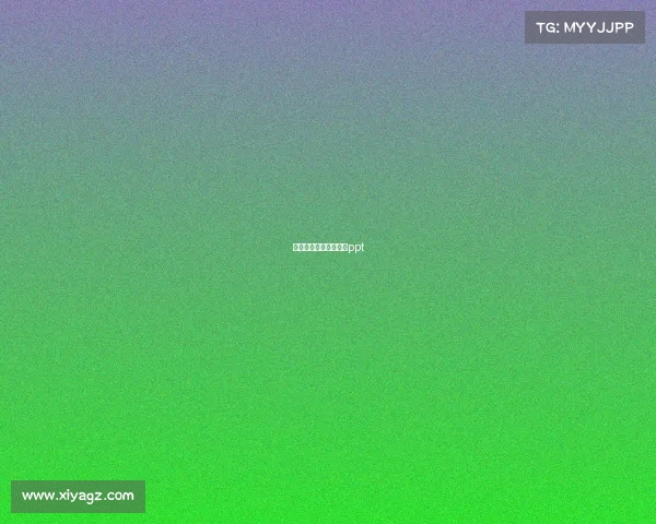 水上运动项目运营方案ppt